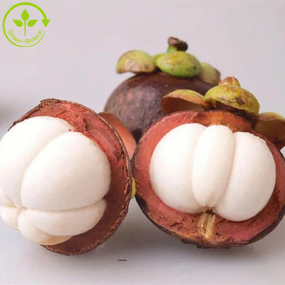 Alpha Mangostin %10 - %95 Doğal Bitki Özleri Mangosteen Meyve Özü Tozu