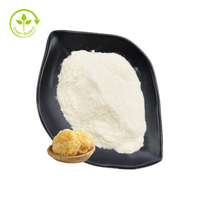Tremella Fuciformis Özü Polisakkaritler Tozu %30 - %50