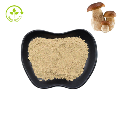 Doğal Kuruş Çörek Porcini Mantar Özü Saf Çörek Tozu 99%