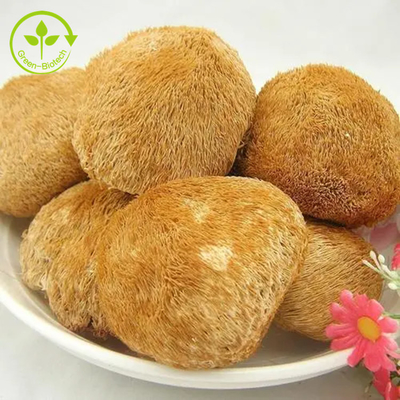 Çay / Matcha / Kahve İçin Organik Lions Mane Mantar Miselyum Özü Tozu