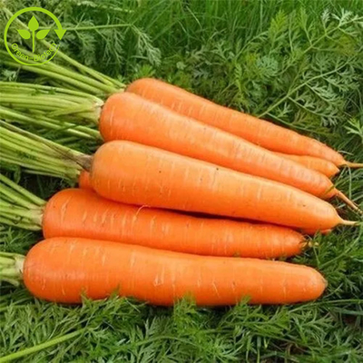 Gıda Katkı Maddeleri Renklendirici Ferment Beta Karoten Tozu 10%