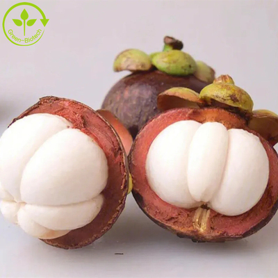 Saf Doğal Mangosten Özü mangosten p.e-alfa-mangostin 10% -90% Alfa Mangostin özü tozu