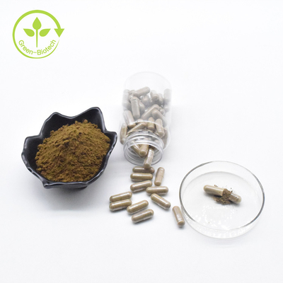 Fabrika Toptan Saf Turkesterone 40% Toz Özel Etiket Ajuga Turkesterone Kapsül 500mg