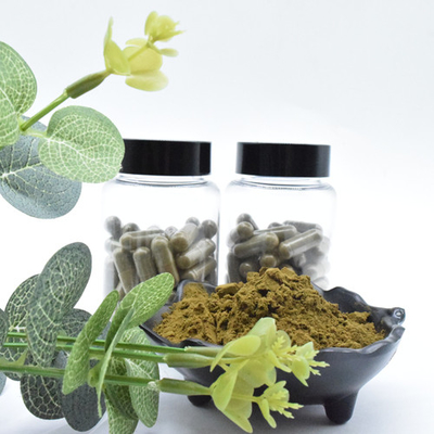 Ajuga Turkestanica Özü Tozu 2% Turkesteron Satın Alın