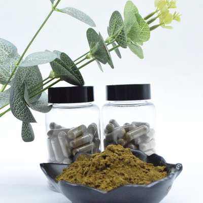 Toptan Dökme %100 Saf %2 %10 Ajuga Turkestanica Özü Tozu Türkesteron Tozu