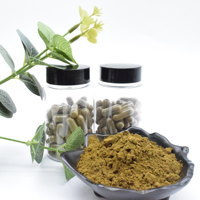 En Kaliteli Ajuga Turkesterone Tozu 10 Turkesterone Özü Turkesterone Bitki Özü