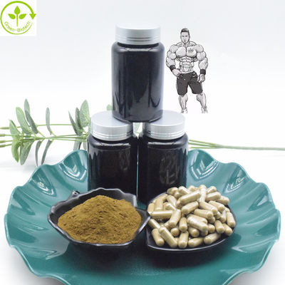 Saf %10 %40 Türkesteron Özü Tozu 800mg 1000mg Türkesteron Kapsülleri
