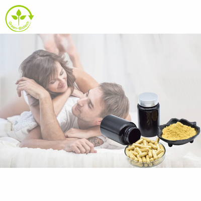 Bitki Özü Tongkat Ali Kapsülleri 500mg/60 kapak/Şişe Eurycomanone Tozu %1 %3 %5 %10 Tongkat Ali Özü