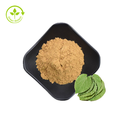 Ücretsiz Örnek ile Çin Tedarikçi Azgın Keçi Epimedium Özü% 5 Icariin