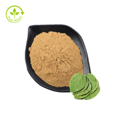 En iyi Fiyat Sagittatum Azgın Keçi Otu Özü Tozu 10% 60% 98% Icariin Epimedium Özü