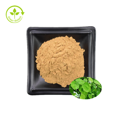 Epimedium Özü %98 Icaritin Bal Keçi Otu Özü %98 Icaritin
