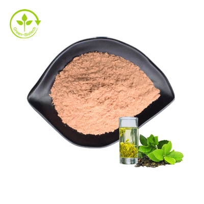Fabrika Kaynağı Yeşil Çay Ekstresi 80% Catechin Yeşil Çay Ekstresi Tozu Yeşil Çay Ekstresi