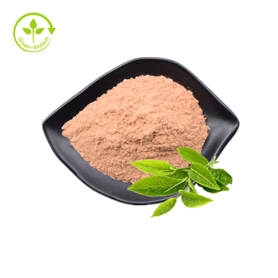 Private Label Organik Doğal Saf Yeşil Çay Özleri Matcha Tozu