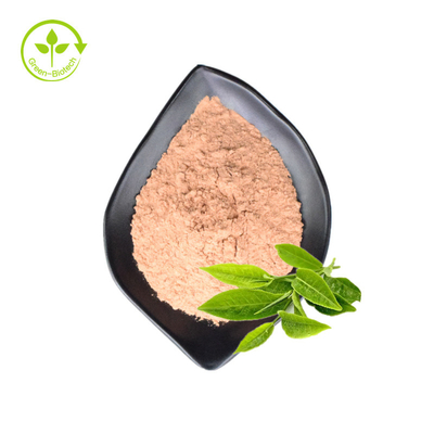 Private Label Organik Doğal Saf Yeşil Çay Özleri Matcha Tozu