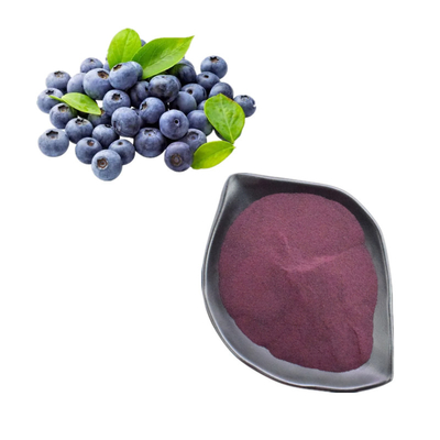 Saf Doğal Blueberry Extract 25% Anthocyanin Bilberry Extract Powder