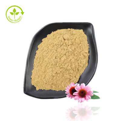 Yüksek Saflıkta Ekinezya Purpurea Özü Tozu% 10 -% 40 Ekinecoside