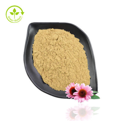 Yüksek Saflıkta Ekinezya Purpurea Özü Tozu% 10 -% 40 Ekinecoside