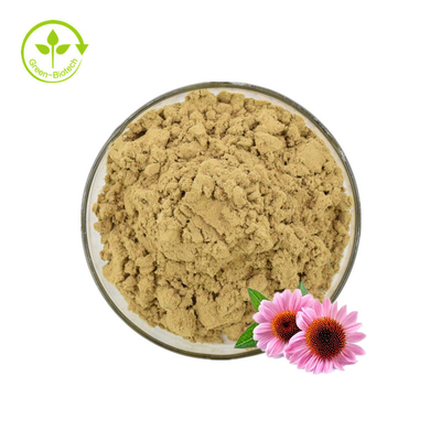 Ekinezya Özü/Dökme Ekinezya Purpurea Özü/Echinacea Özü %4 Polifenoller