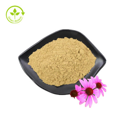 GMP Standardı Yüksek Kaliteli Polifenoller Ekinezya Purpurea Tozu Ekinezya Purpurea Özü