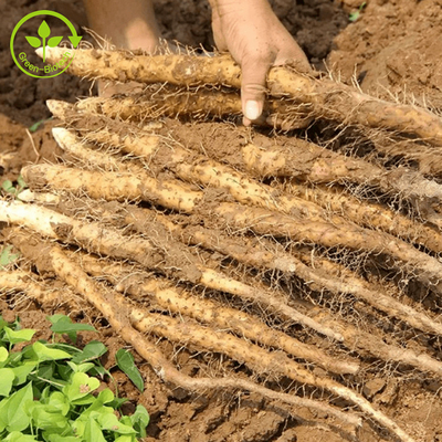 Gıda / Kozmetik Sınıfı Doğal Yam Özü% 98 Diosgenin Yabani Yam Özü Tozu