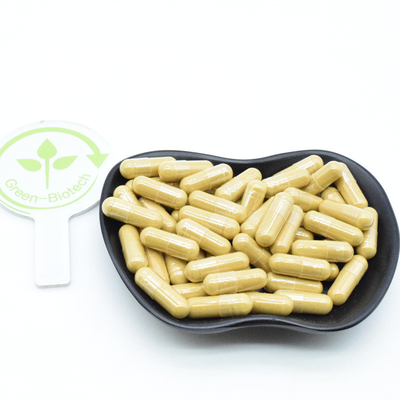Doğal Panax Sibirya Kore Kızıl Ginseng Kök Ekstraksiyonu 10% 20% 80% Ginsenosidler Tozu