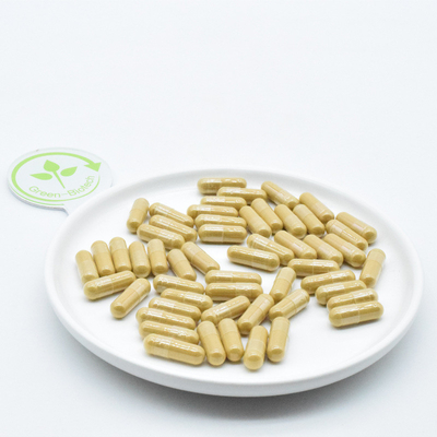 Changbai Dağı Panax Ginseng Kökleri Farmasötik Taze Ginseng