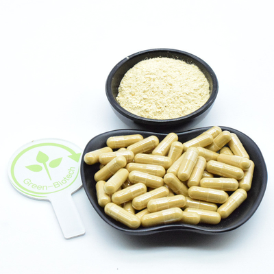 Ginseng Kökü Doğal Bitki Ekstraktları Kuru Taze Ginseng Tozu