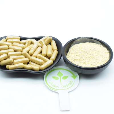 25kg/Drum Doğal Bitki Ekstraktları Ginseng Kök Ekstraktları Ginsenosidler