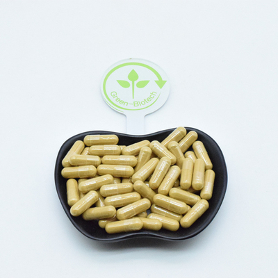Doğal Ginseng Kök Ekstraktı Kapsülleri Toz İçecek Kahve Çay Tohumları Panax Ginseng