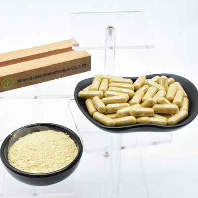 % 100 Doğal Bitki Ekstraktı Ginseng Ekstraktı Tozu Hayati Enerjiyi Güçlendirir