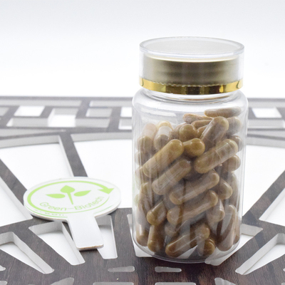 Fabrika Tedarikleri Ginseng Kök Tozu Panax Ginseng Ekstraktı 20:1 Ginsenoside 80%