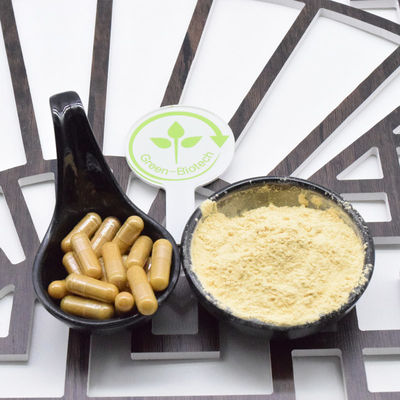 Kurutulmuş Kırmızı Ginseng Kökü Küçük dilim Bütün Kırmızı Ginseng Kökü 8 Yıl