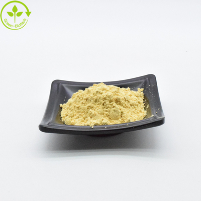 Çam Polen Protein Tozu Besleyici ve Tatlı Enerji Protein Tozu Takviyesi