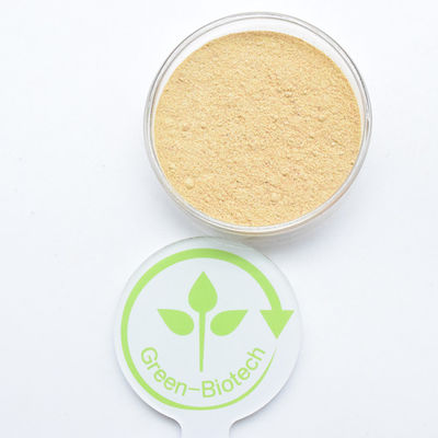 HPLC 90% Cyanotis Arachnoidea Extract Beta Ecdysterone Toz Hidroksiekdison