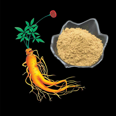 80 Mesh Ginseng Kökü Özü Tozu %1-80 Doğal Bitki Özleri