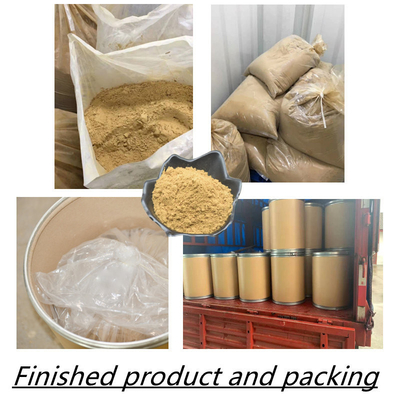 80 Mesh Ginseng Kökü Özü Tozu %1-80 Doğal Bitki Özleri