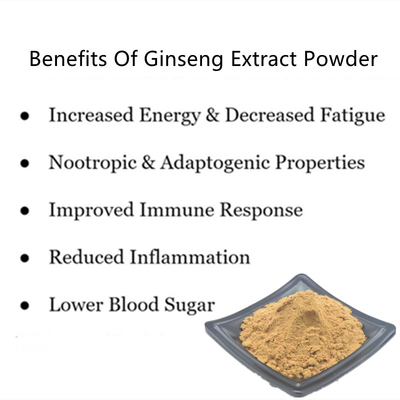 80 Mesh Ginseng Kökü Özü Tozu %1-80 Doğal Bitki Özleri