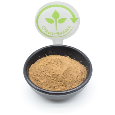 Vücut Geliştirme Ajuga Turkestanica Özü Tozu Bitki Özü Tozu 500mg 750mg 1000mg
