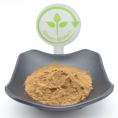 Fonksiyonel Ajuga Turkestanica Tozu 750mg 1000mg Bitki Özü Tozu
