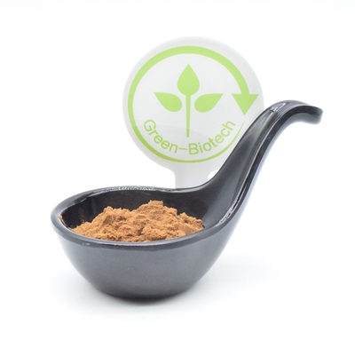 Spor Takviyeleri Ajuga turkest özü vücut geliştirme 2% 250mg 350mg 500mg