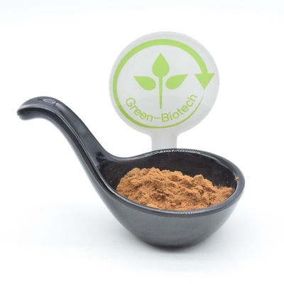 Spor Takviyeleri Ajuga turkest özü vücut geliştirme 2% 250mg 350mg 500mg